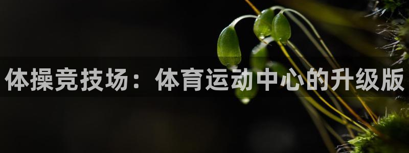 JJB竞技宝官方正版app集团E.ON:体操竞技场:体育运动