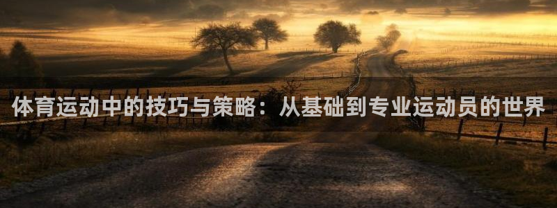 JJB竞技宝官方正版app娱乐首页网站大全:体育运动中的技巧