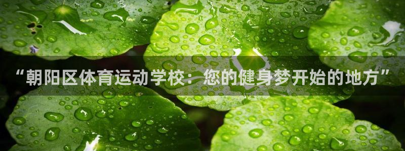 JJB竞技宝官网下载招商电话是多少:“朝阳区体育运动学校:您