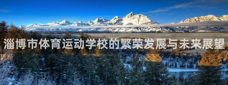 JJB竞技宝官网下载注册:淄博市体育运动学校的繁荣发展与未来