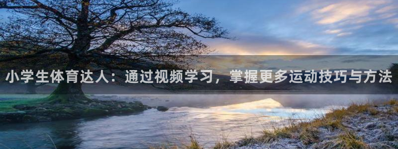 JJB竞技宝官方正版app开户:小学生体育达人:通过视频学习